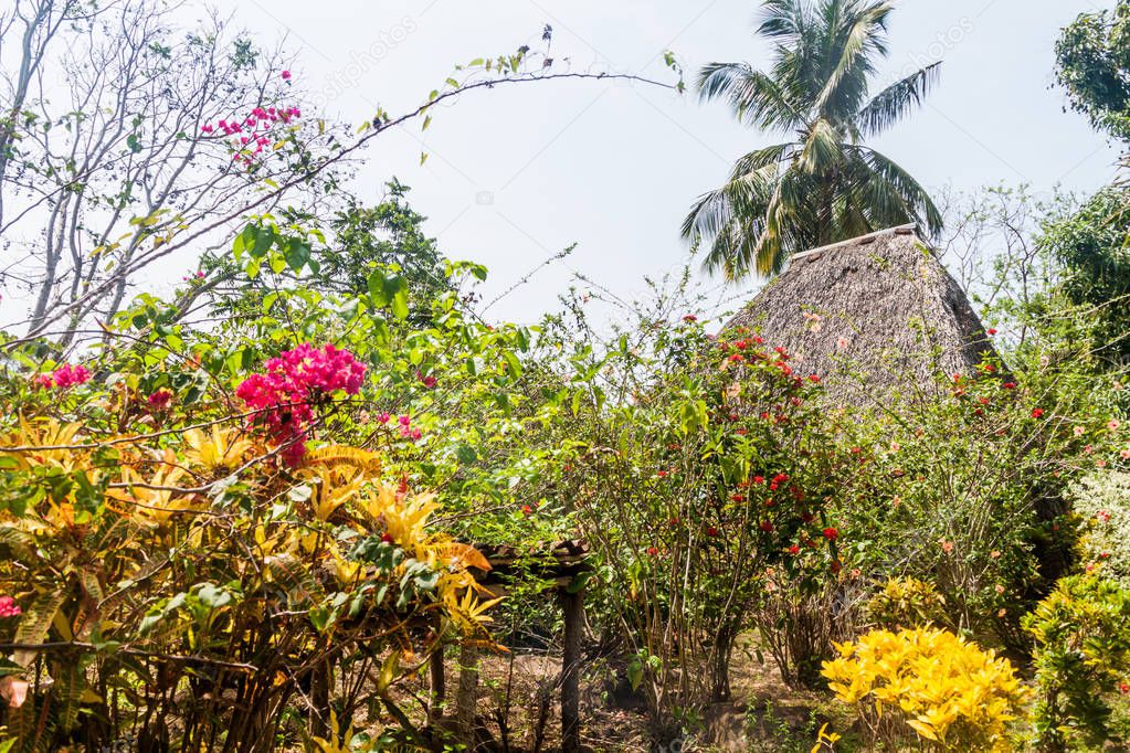Garden and an thatched hut on Ometepe island, Nicaragua