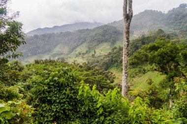 Arka plan üzerinde Boquete, Panama yakınındaki dağlar