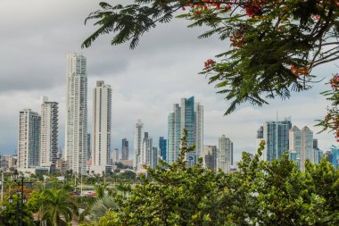 Panama City Skyline arka plan üzerinde