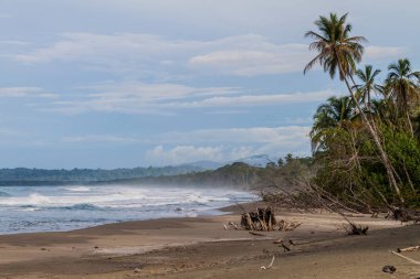 Beach Cahuita Milli Parkı, Kosta Rika