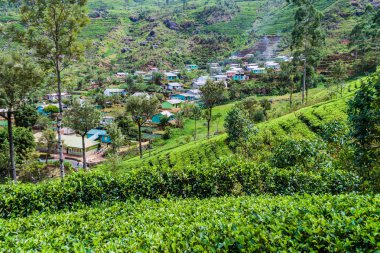 Çay tarlaları ve dağlar Haputale, Sri Lanka yakınındaki küçük bir köyde