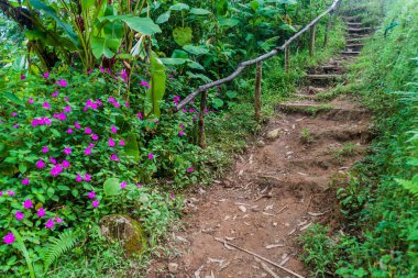 İz Boquete, Panama yakınındaki hiking şelaleler kaybetti