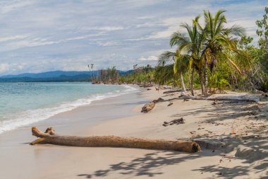 Beach Cahuita Milli Parkı, Kosta Rika
