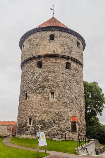 Kiek de Kok, Tallinn, Estonya bir topçu kulesinde içinde