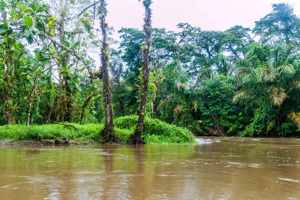 Río Suerte Costa Rica —  Fotos de Stock