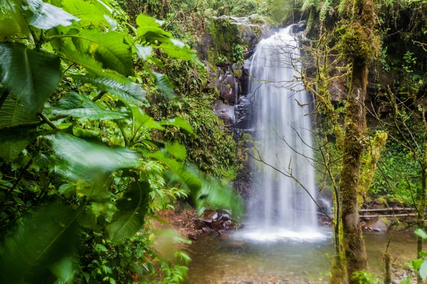 Cascata Una Foresta Pluviale Vicino Boquete Panama Accessibile Dal Sentiero — Foto Stock