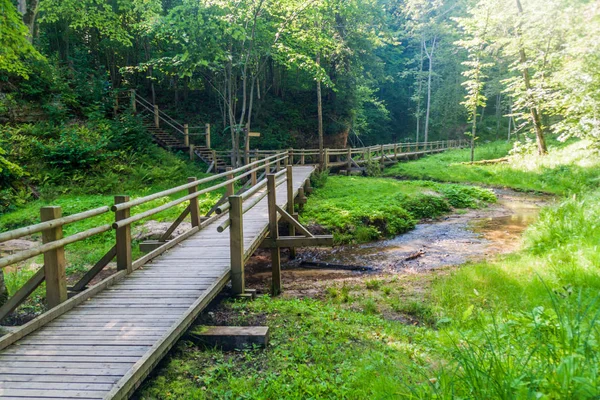 Passerella Nel Parco Nazionale Gauja Lettonia — Foto Stock