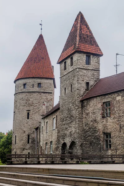 Sur duvarları Old Town, Tallinn, Estonya