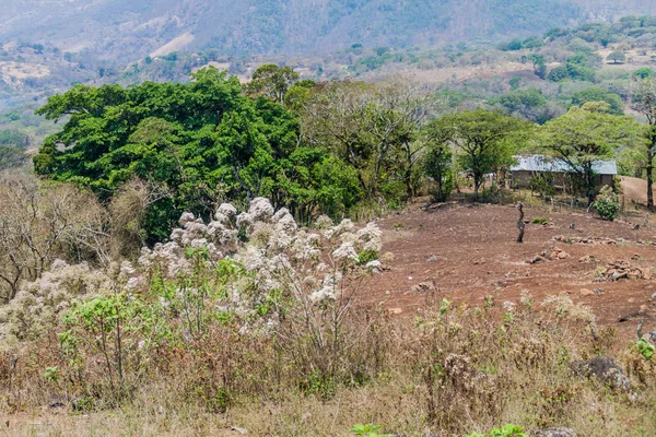 Landscape of Protected Area Miraflor, Nicaragua