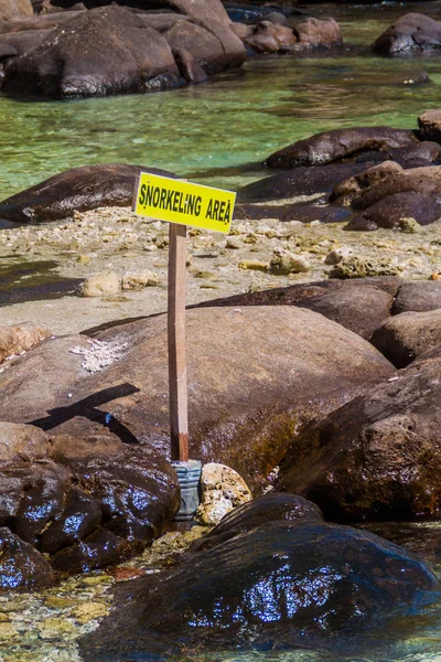 Jel Snorkeling Terület Galamb Sziget Nemzeti Park Srí Lanka Nilaveli — Stock Fotó