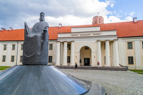 Vilnius Lituania Agosto 2016 Museo Nacional Lituania Vilna Lituania Estatua — Foto de Stock
