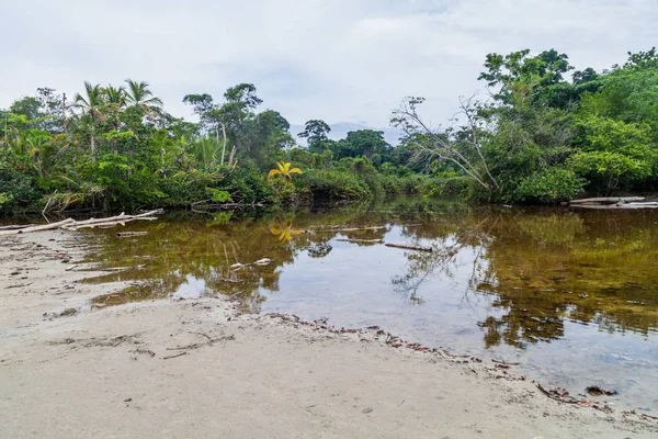 Flussmündung Cahuita Nationalpark Costa Rica — Stockfoto