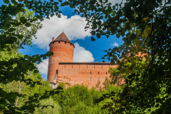Вид Замок Турайда Латвия — стоковое фото