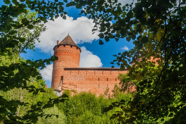 Vue Château Turaida Lettonie — Photo