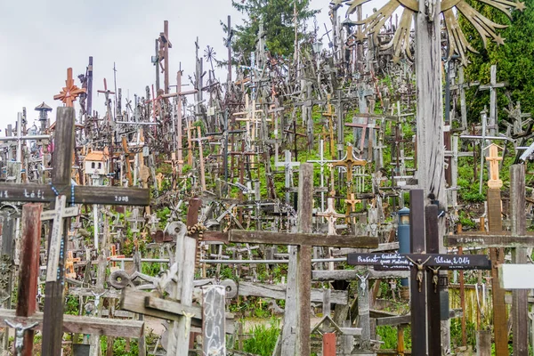 Siauliai Lituania Agosto 2016 Collina Delle Croci Luogo Pellegrinaggio Nel — Foto Stock