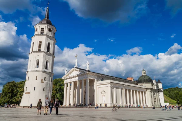 Vilnius, Litvanya - 15 Ağustos 2016: Katedral Bazilikası St Stanislaus ve St. Vladislav Katedral Meydanı Vilnius, Litvanya.