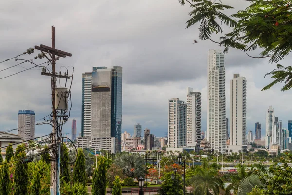 Drapacze Chmur Drzew Ulicach Miasta Panamy — Zdjęcie stockowe