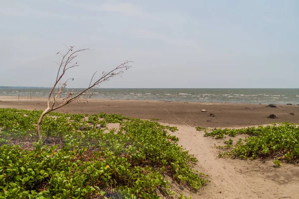 Kumsalda: Ometepe Island, Nicaragua
