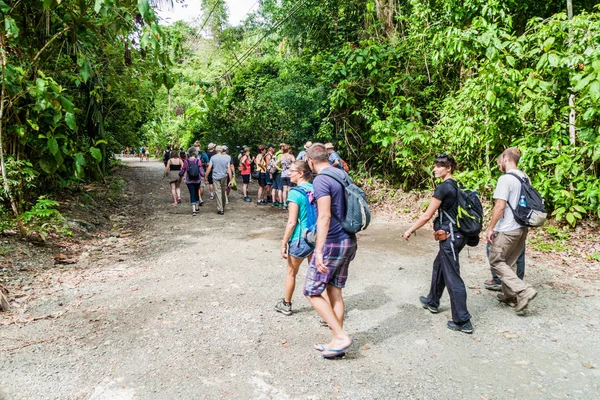 Manuel Antonio, Kosta Rika - 13 Mayıs 2016: kalabalık bir turist olarak Milli Parkı Manuel Antonio, Kosta Rika