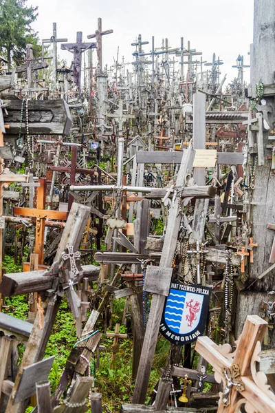 Siauliai Lituânia Agosto 2016 Colina Das Cruzes Local Peregrinação Norte — Fotografia de Stock