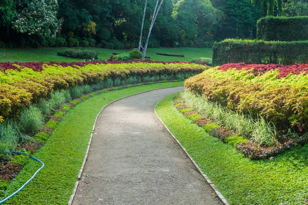 Yol aracılığıyla Peradeniya Kraliyet Botanik Bahçeleri yakınında Kandy, Sri Lanka
