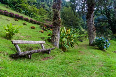 Alt kısmı kayıp iz Boquete, Panama yakınındaki hiking şelaleler
