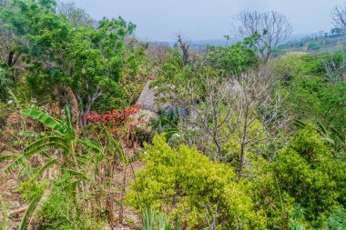 Thatched kulübe, parçası bir hostel: Ometepe Island, Nicaragua