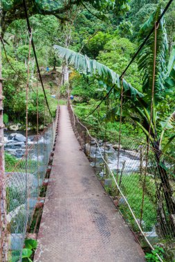 Asma köprü Boquete (Panama), iz hiking şelaleler kayıp üzerinde Caldera Nehri üzerinde.
