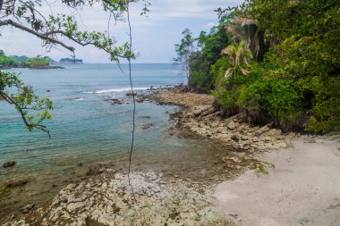 Yalı içinde Milli Parkı Manuel Antonio, Kosta Rika