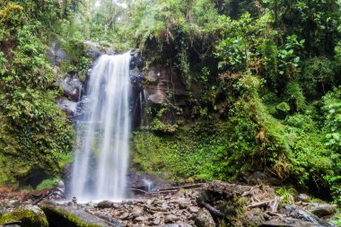 Şelale Boquete, Panama yakınındaki bir bulut ormanda. İz hiking şelaleler kaybetti tarafından erişilebilir.