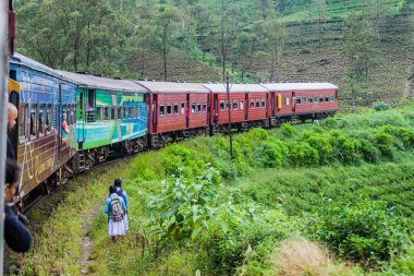 Nanu Oya, Sri Lanka - 16 Temmuz 2016: Nanu Oya village, Sri Lanka yakınındaki kırsal manzara aracılığıyla yerel tren sürmek