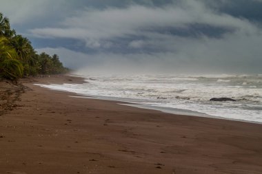 Dramatik gökyüzü ve fırtınalı bir denizde bir plajda Tortuguero Milli Parkı, Kosta Rika