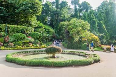 Kandy, Sri Lanka - 18 Temmuz 2016: Güzel Peradeniya Kraliyet Botanik Bahçeleri Kandy, Sri Lanka yakınındaki kişi ziyaret
