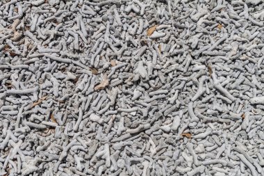 Pek çok kırık mercan arka plan