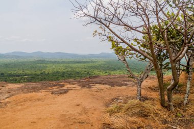 Manzara üzerinden Pidurangala Rock, Sri Lanka çevreleyen görünümü