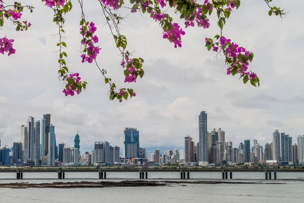 Skyline Ciudad Panamá Fondo —  Fotos de Stock