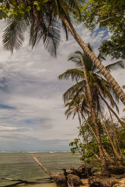 Avuç içi Cahuita Milli Parkı, Kosta Rika