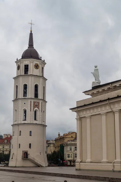 Gruuthuse Müzesi Katedral Bazilikası Stanislaus Vladislav Katedral Meydanı Vilnius Litvanya — Stok fotoğraf