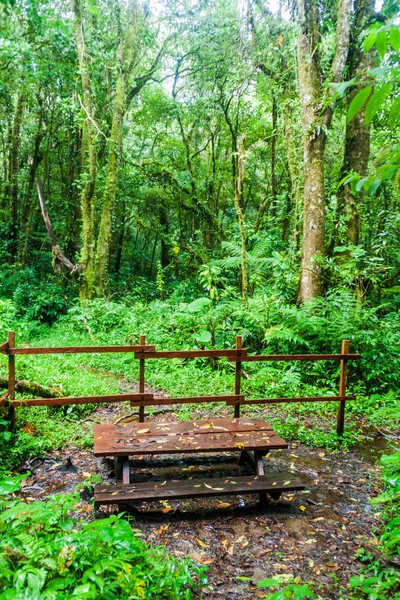 Część Relaksacyjna Szlak Turystyczny Sendero Los Quetzales Parku Narodowym Volcan — Zdjęcie stockowe