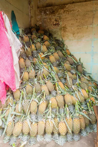 Ananas Manning Market Colombo, Sri Lanka yığını