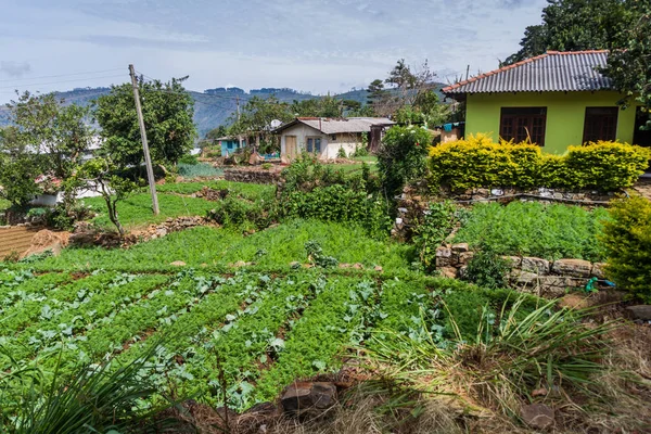 Görünüm Dambatenne Köyü, Sri Lanka