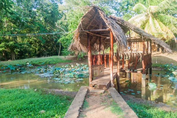 Uda Walawe Sri Lanka Julio 2016 Gazebo Complejo Turístico Cerca — Foto de Stock