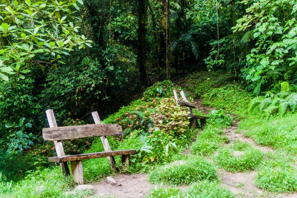 Rest Area Lost Waterfalls Hiking Trail Boquete Panama — Stock Photo, Image