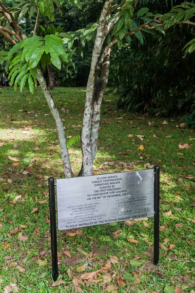 Yuri Gagarin içinde Peradeniya Kraliyet Botanik Bahçeleri Kandy, Sri Lanka yakınındaki tarafından dikilmiştir sarı Saraca ağaç (Saraca Thaipingensis)