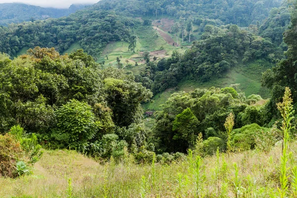 Dağları yakınında Boquete, Panama