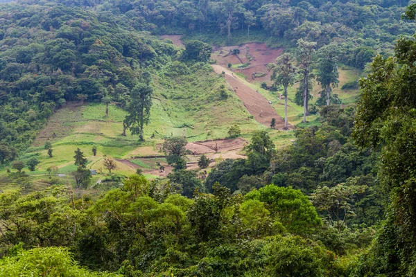 Yemyeşil manzara yakınındaki Boquete, Panama
