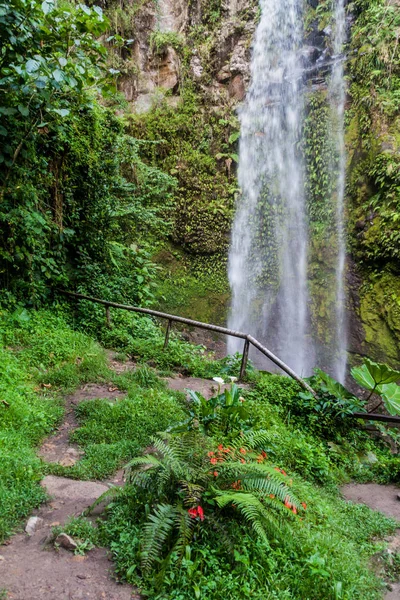 Una Las Cascadas Bosque Nuboso Largo Ruta Senderismo Cascadas Perdidas — Foto de Stock