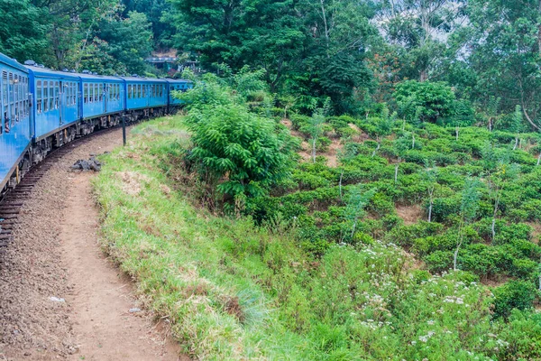 Dağ Bandarawela Sri Lanka Yakınındaki Yerel Tren Sürmek — Stok fotoğraf