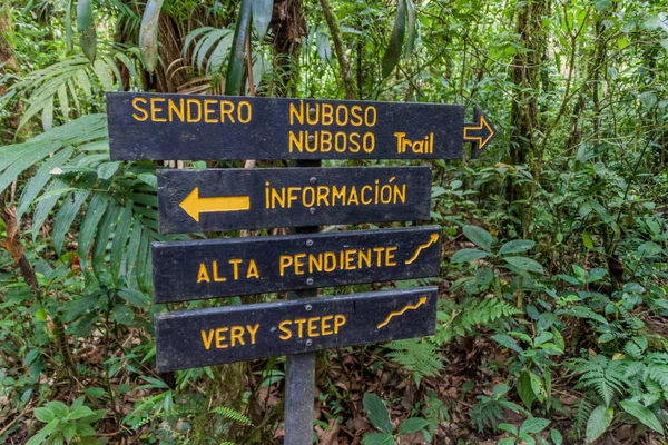 Wegweiser Wanderwegen Einem Nebelwald Der Reserva Biologica Bosque Nuboso Monteverde — Stockfoto