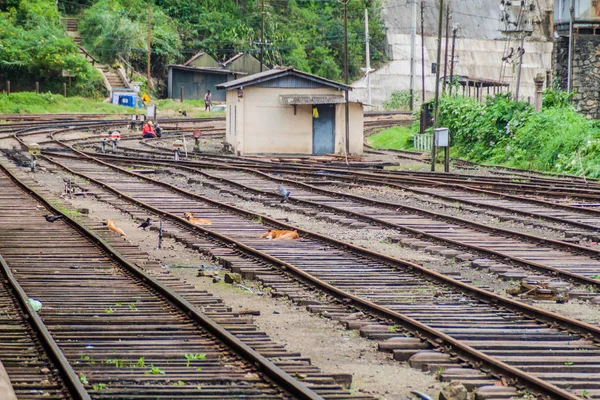 Görünümü bir tren istasyonunun Nanu Oya Köyü, Sri Lanka